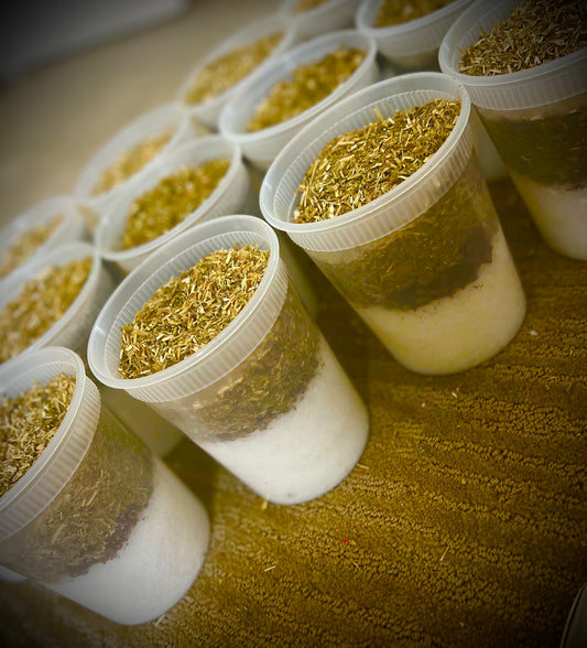 Purification kit // kit de purification