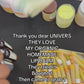 ORGANIC LIP BAM