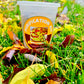 Purification  kit // kit de purification